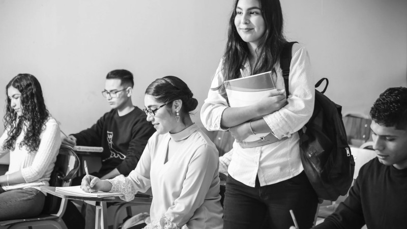 Open Day Work Experience