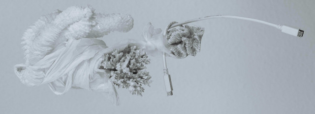 Il modello di Economia circolare