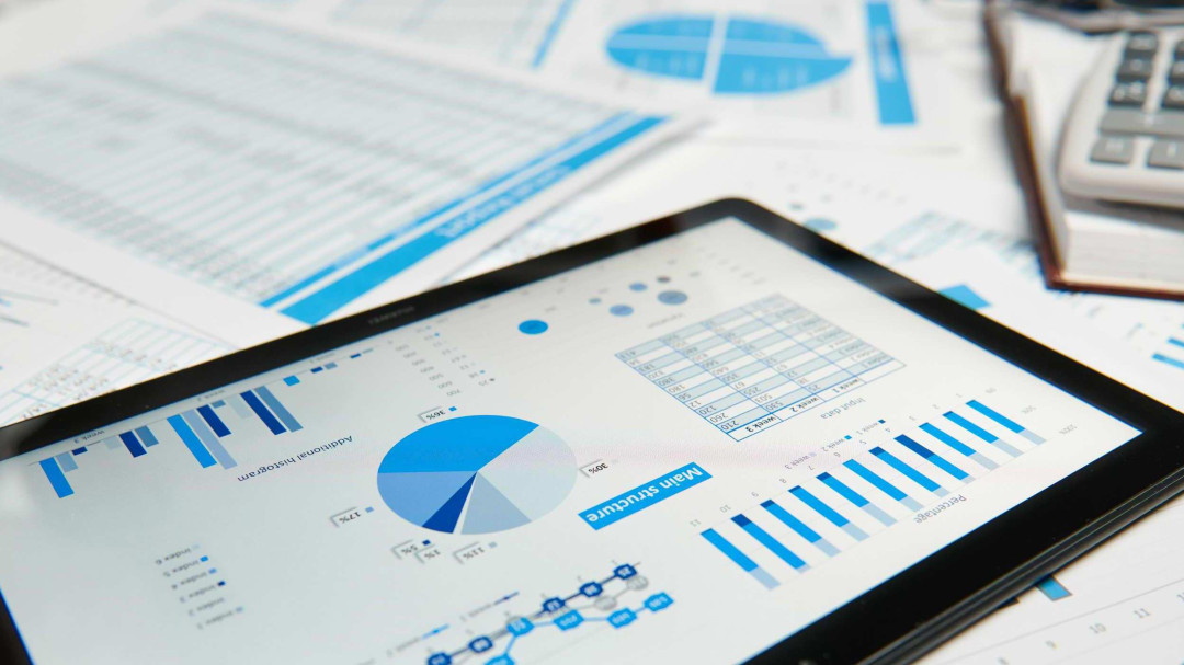 REVISIONE CONTABILE AUDIT